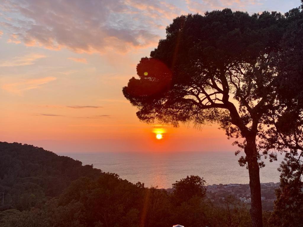 Villa Gemma Livorno Dış mekan fotoğraf